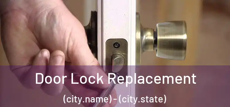  Door Lock Replacement (city.name) - (city.state)